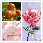 人生中的第一款本命香水应该怎么挑 人生中的第一瓶香水怎么选