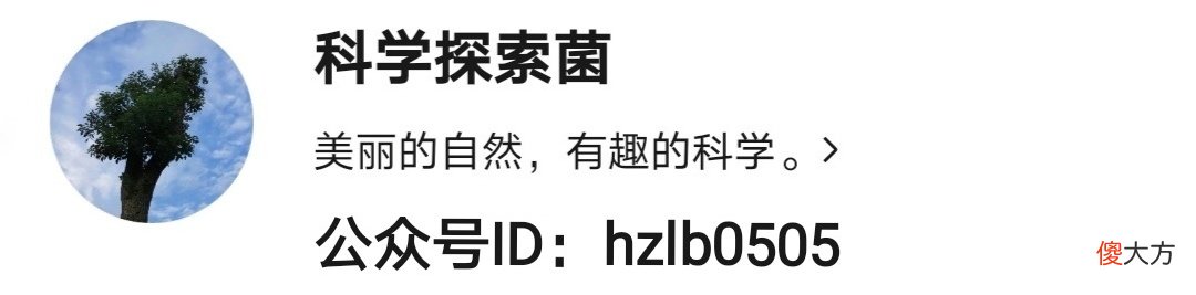 为什么航母的速度普遍在30节左右 为什么军舰航速都是30节左右