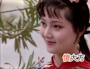 【爱历史】贾宝玉挨打，钗黛表现不同，宝钗、袭人做公关得实惠，黛玉心疼