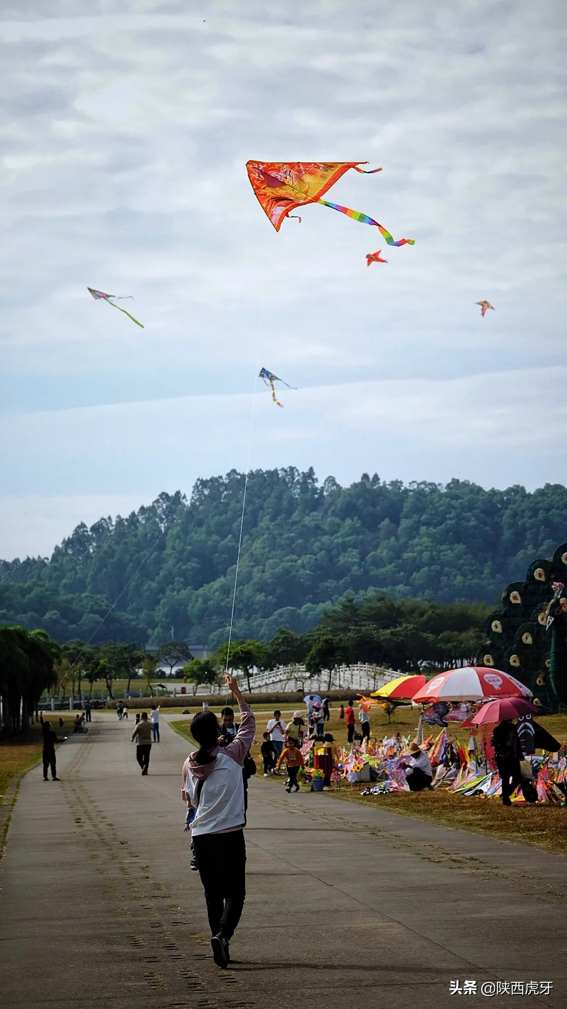 为什么说阳江风筝是中国风筝南鹞北鸢中南鹞的典型代表？旅行