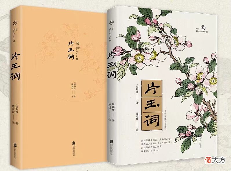 昨夜雨疏风骤浓睡不消残酒视频 昨夜雨疏风骤