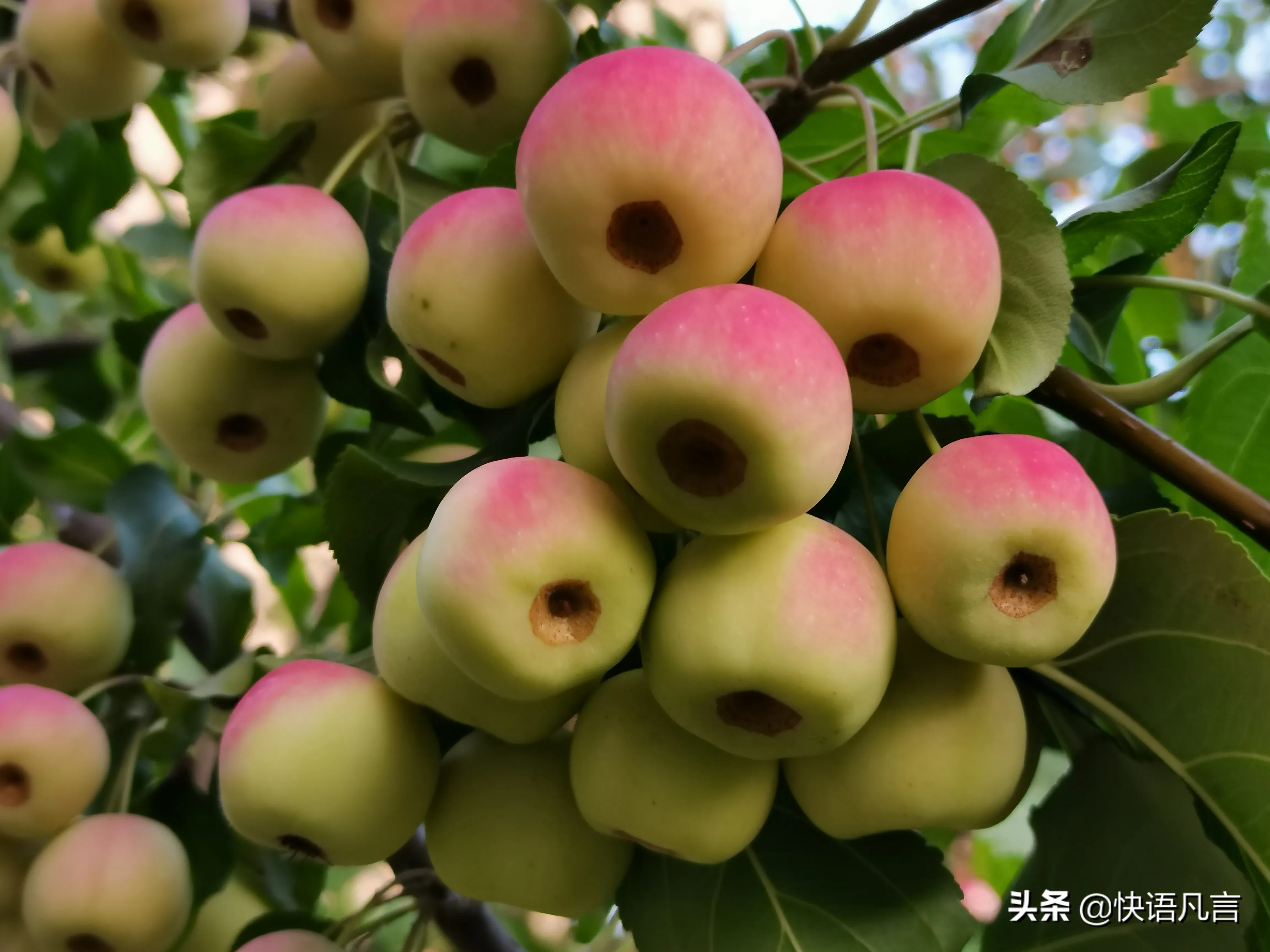 朋友，你有自己的大年和小年吗？