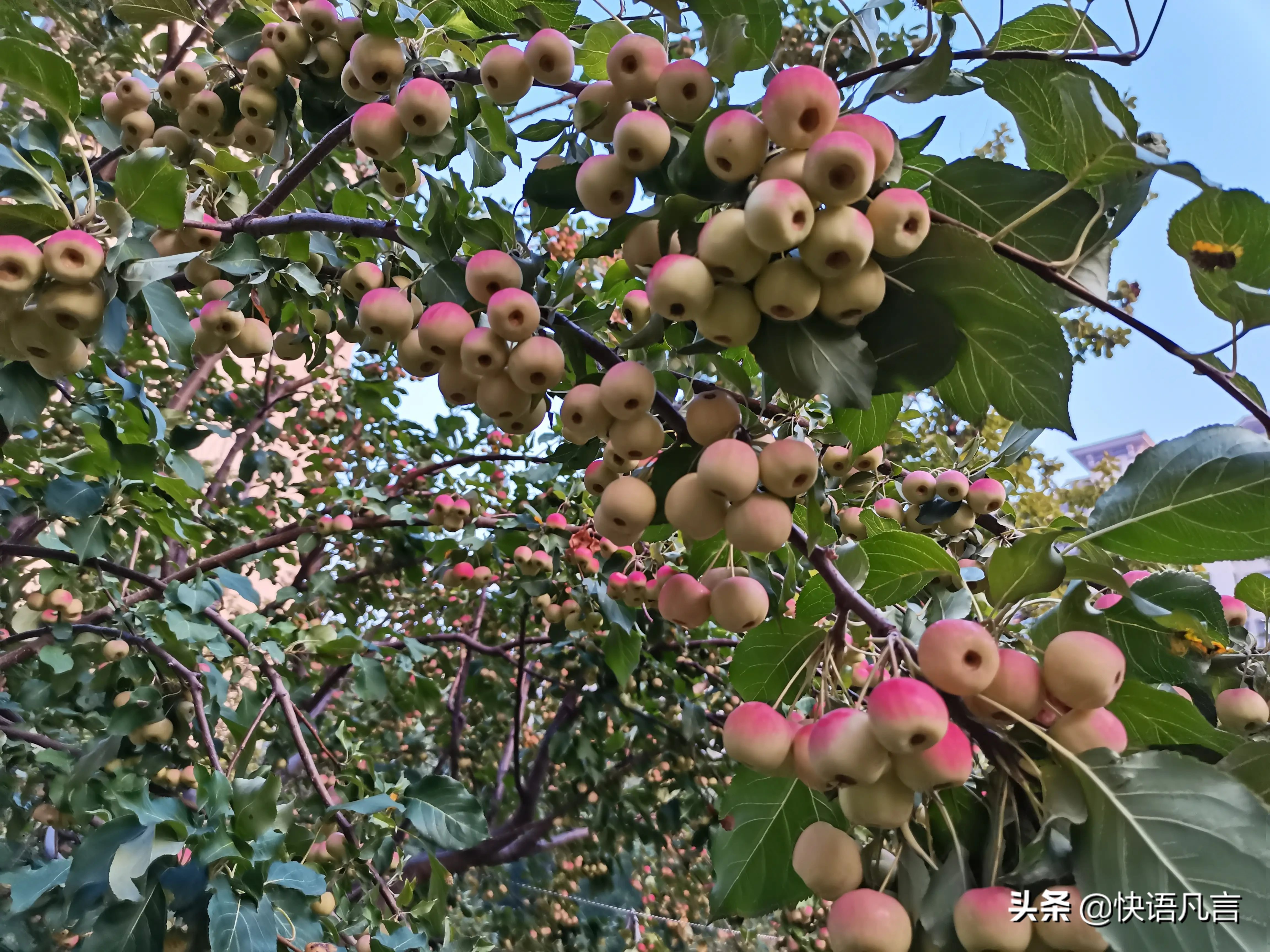 朋友，你有自己的大年和小年吗？