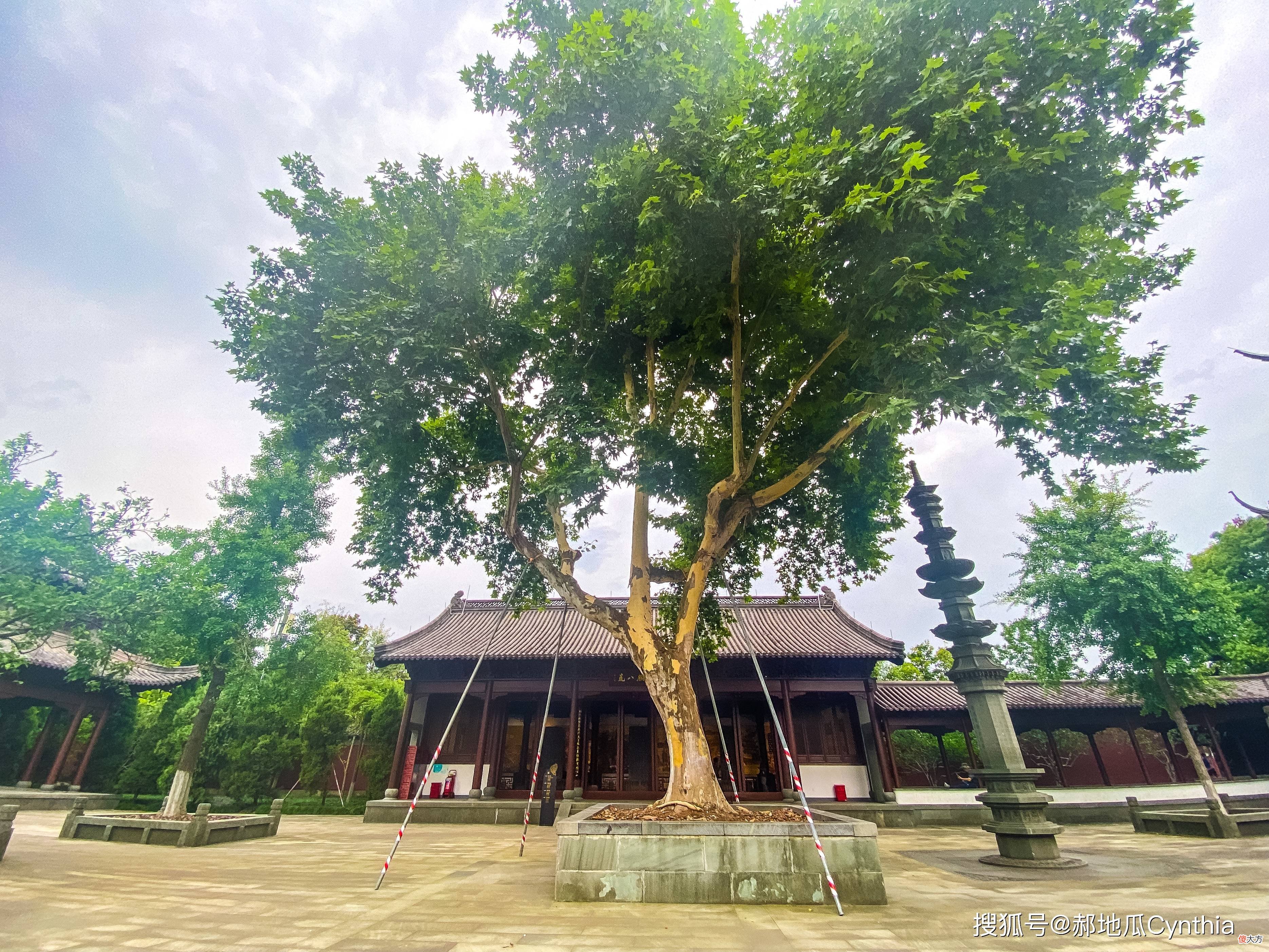 【爱历史】吴越国王钱弘叔顺应历史潮流，在西湖边建造了一座钱王祠