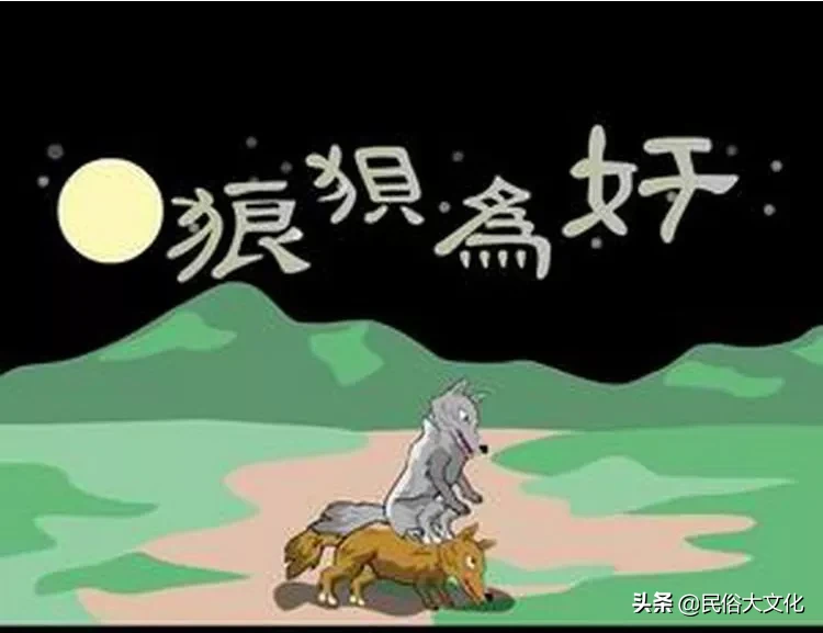 成语狼狈为奸中的狈是指啥东西？为何又与狼并存？泛文化写作营