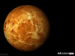 从维纳斯的黄金分割 维纳斯黄金分割点