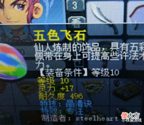 【游戏世界】梦幻西游:精锐的方寸有多牛,神宠四特殊神马雷鸟人艳惊四座!
