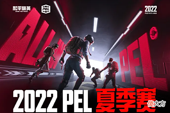 【游戏迷】PEL夏季赛wyy打法引水友热议,TC新人指挥被质疑指挥不动!