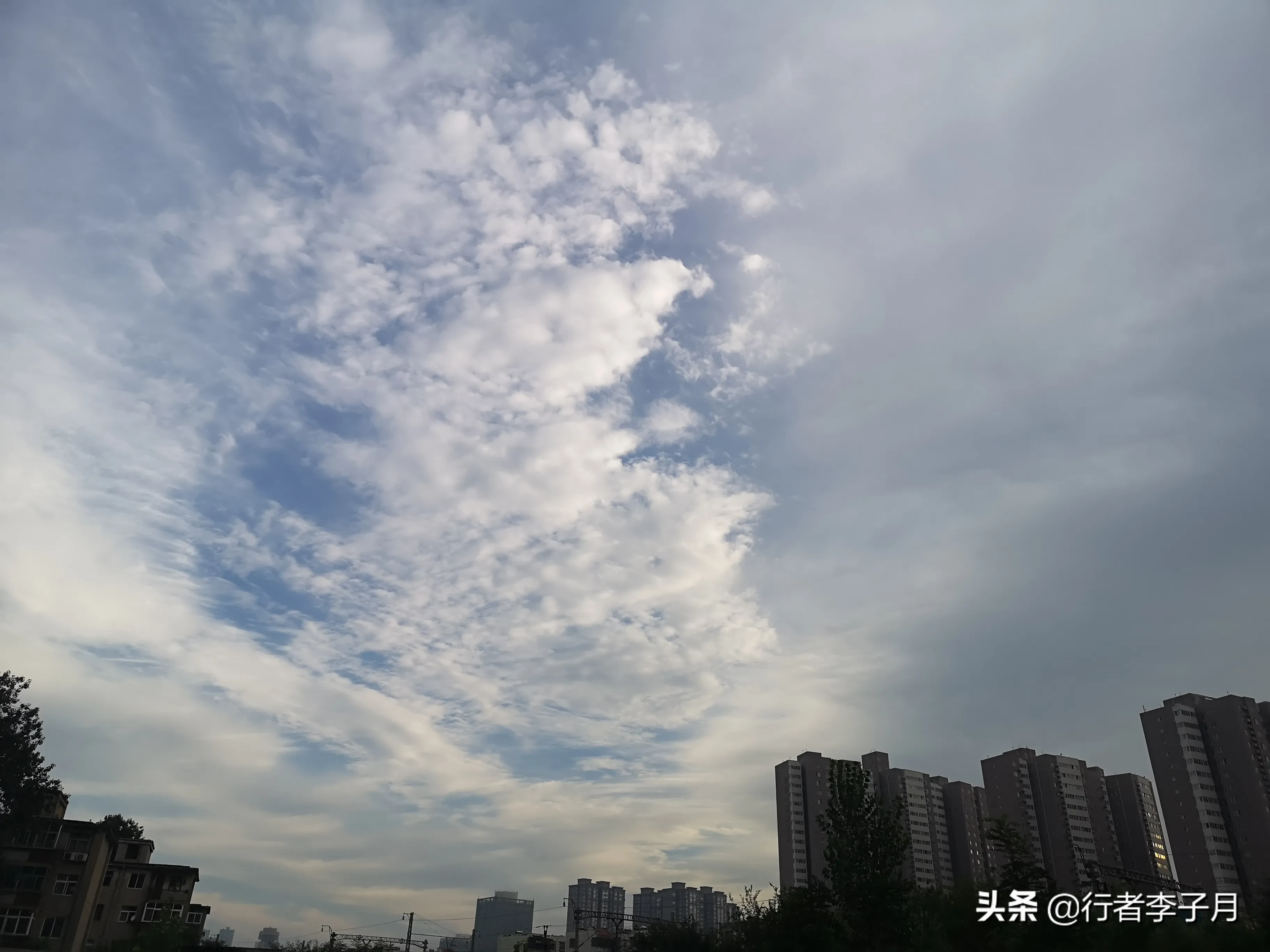 56 Fancy的英语成长100天