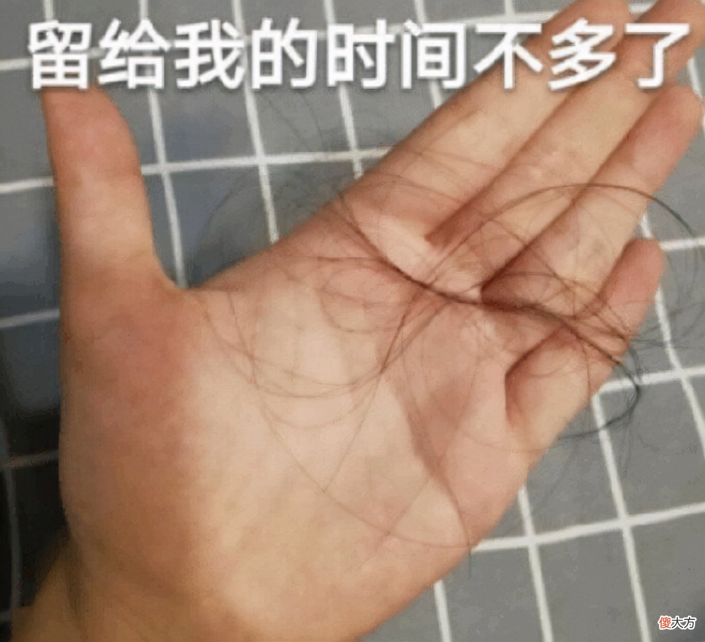 2000元以内最香的手机 2000块以内最好的手机