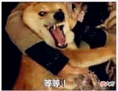 2000元以内最香的手机 2000块以内最好的手机