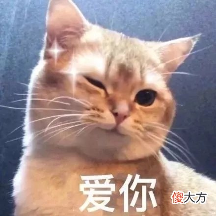 2000元以内最香的手机 2000块以内最好的手机