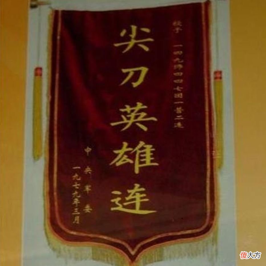 【爱历史】50军3个师分头进越南，表现大不同，撤军时一个团遭重创