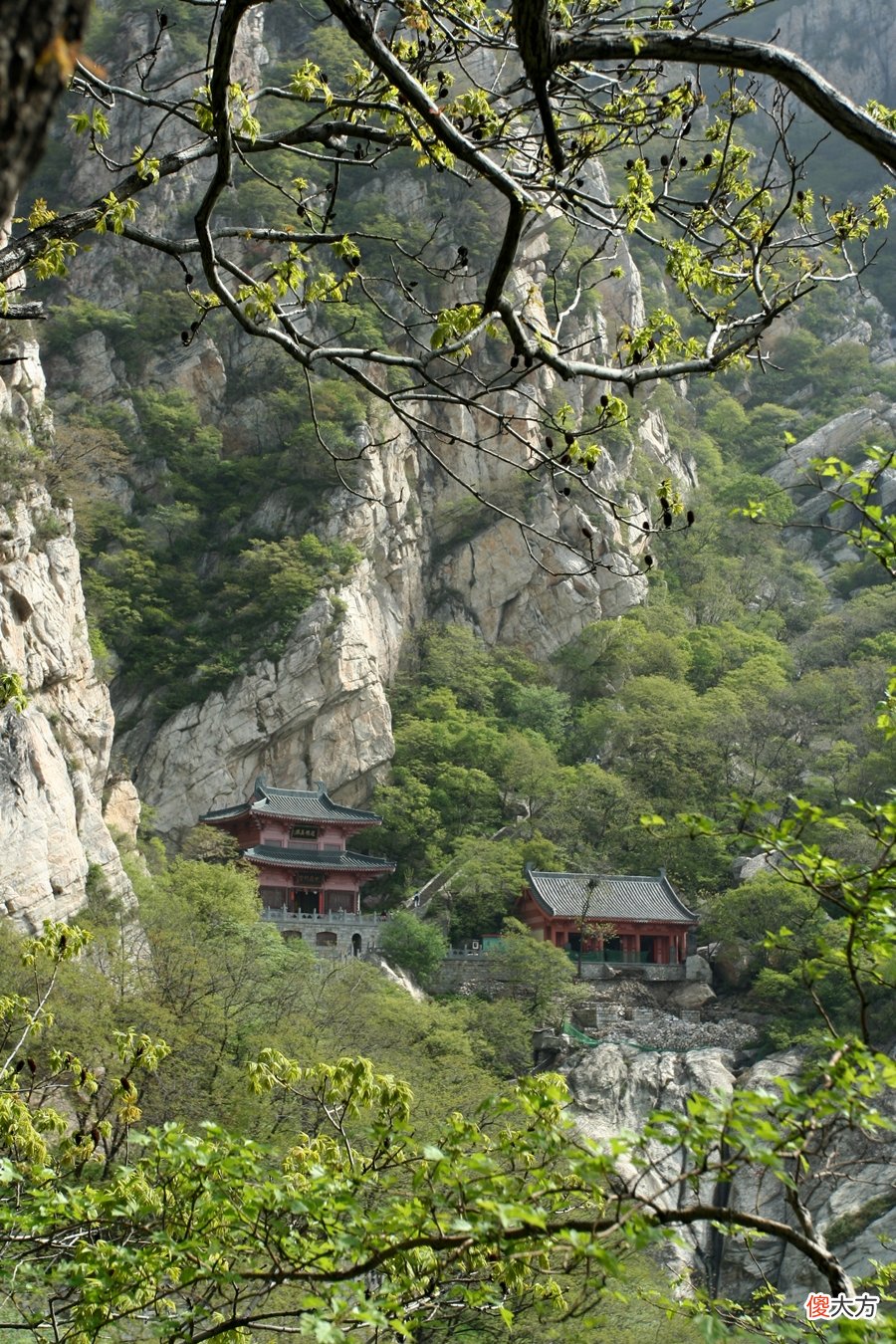 嵩山是两座山 嵩山分为哪两座山