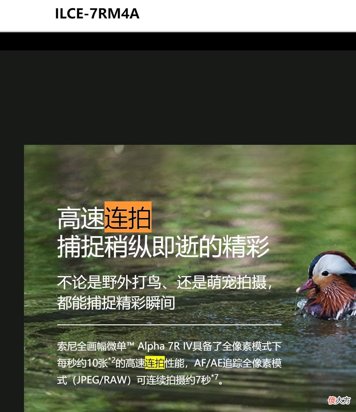 有哪些SD储存卡值得入手 不错的sd卡