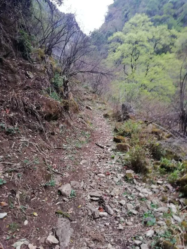 红军长征翻越了玉龙雪山、哈巴雪山?实地探访更正这一误传
