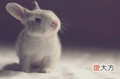 天干之丁的代表意义
