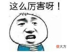 【游戏迷】日本著名厂商做网游翻车？上线仅3个月，Steam在线人数直接为零