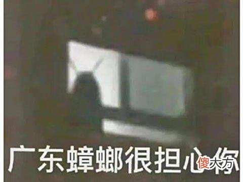 【游戏迷】日本著名厂商做网游翻车？上线仅3个月，Steam在线人数直接为零