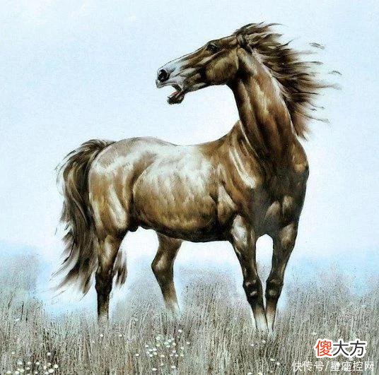 【星座控】下半年扫除不愉快，4生肖越来越有钱，常常走好运，满面红光