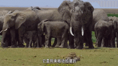 什么是摄影中的现场感 摄影什么叫画面感