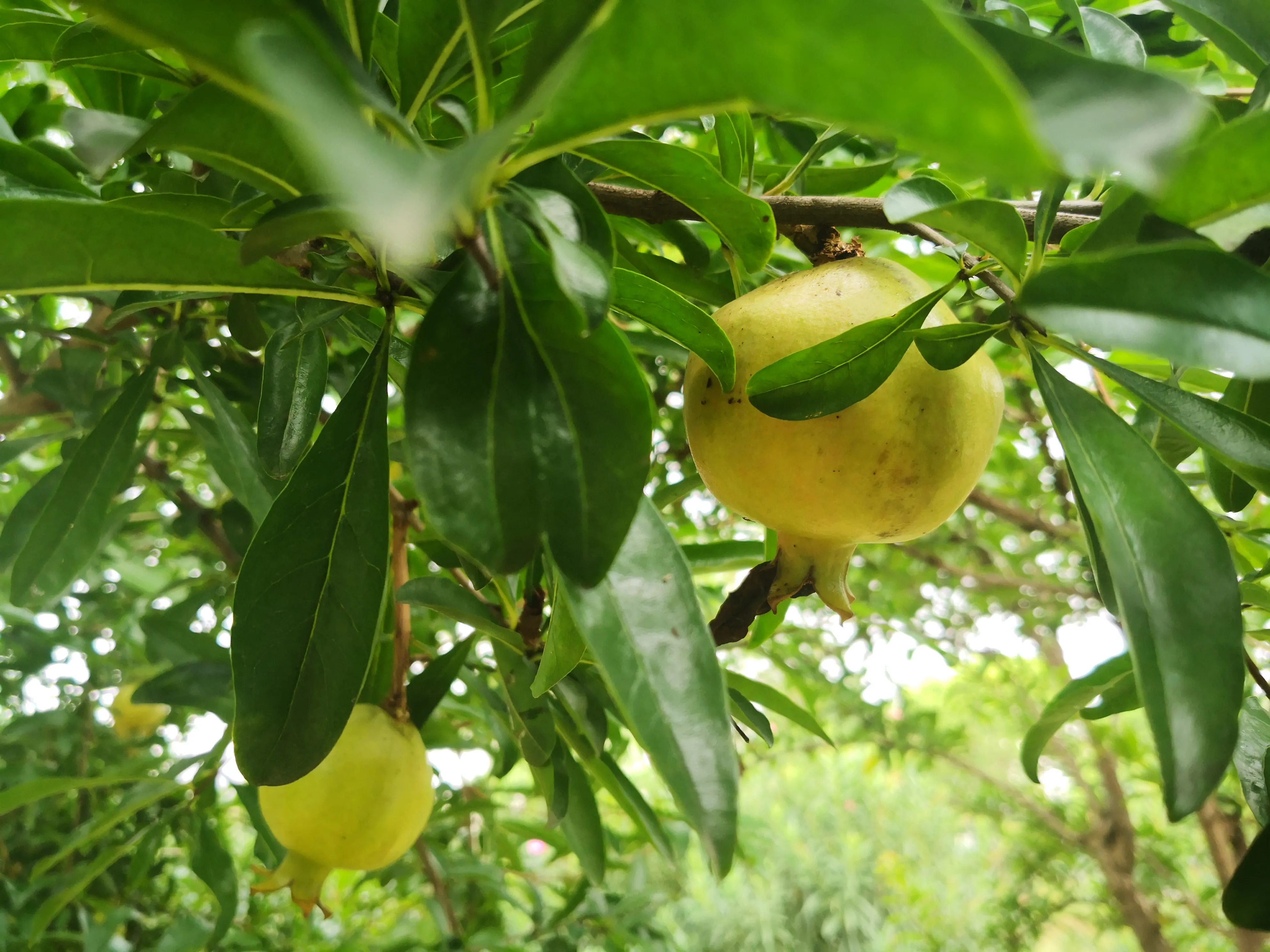 每天做一件新鲜事，为平淡的生活增添色彩，获得沉浸在一件事情里的心流体验