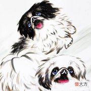 【星座控】生肖鸡过了几岁，算是熬过了难关，得到老天眷顾，福气一天天旺盛