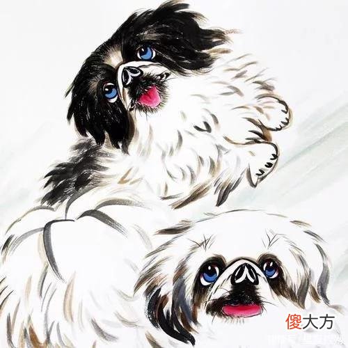 【星座控】生肖鸡过了几岁，算是熬过了难关，得到老天眷顾，福气一天天旺盛
