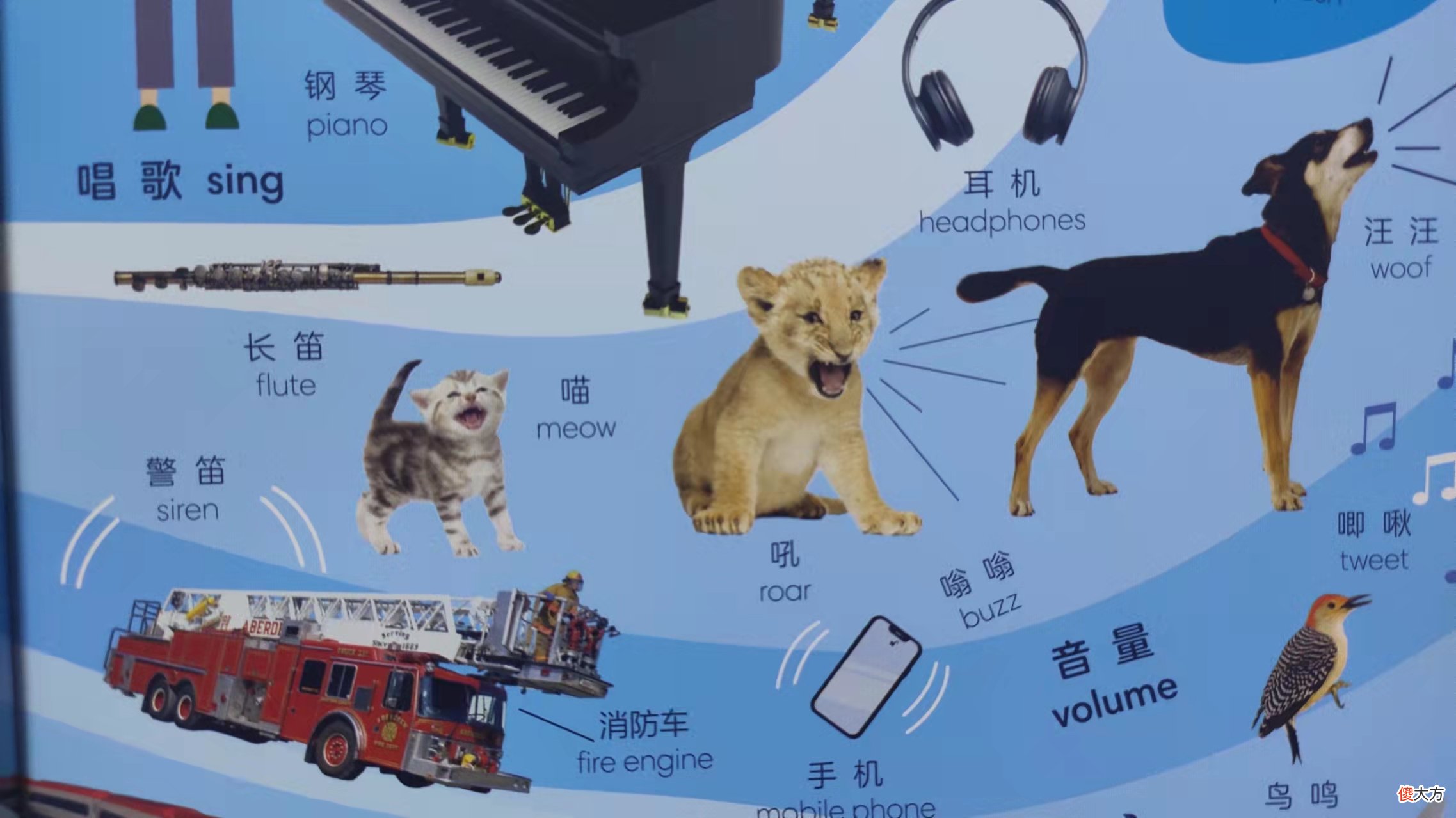 孩子英语启蒙怎么选 孩子英语应该如何启蒙