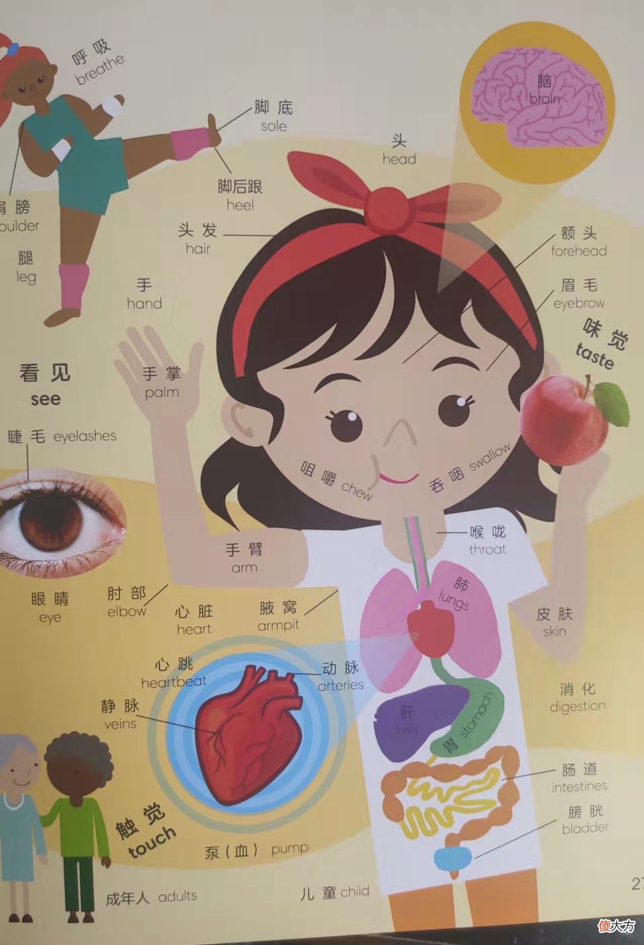 孩子英语启蒙怎么选 孩子英语应该如何启蒙