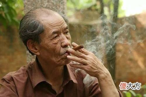 白鹿原是一部男人的史诗，里面的女性人物非常少,陈忠实自己也说