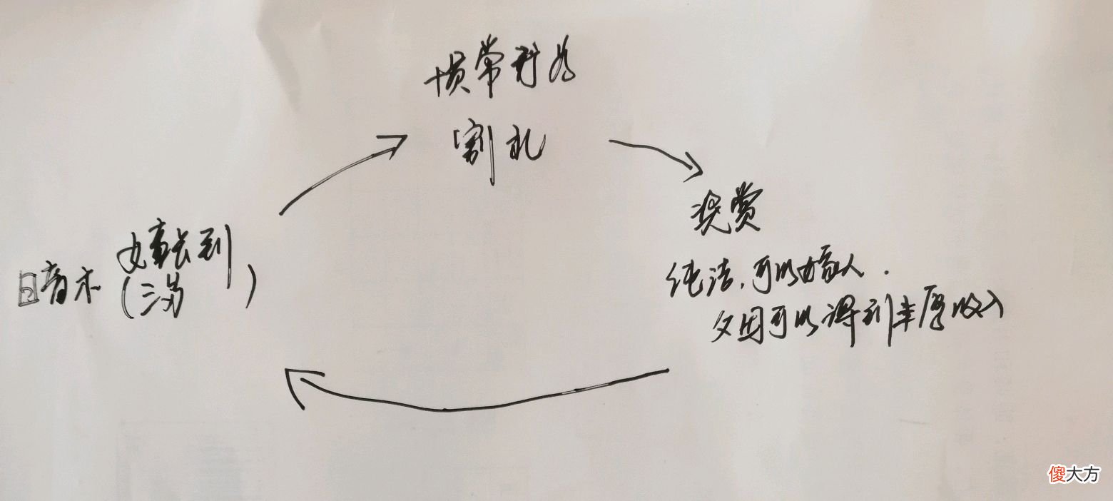 延续5000年的非洲割礼 非洲地区的割礼