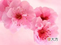出生时辰看你命带何种桃花?