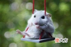 天干之甲的代表意义