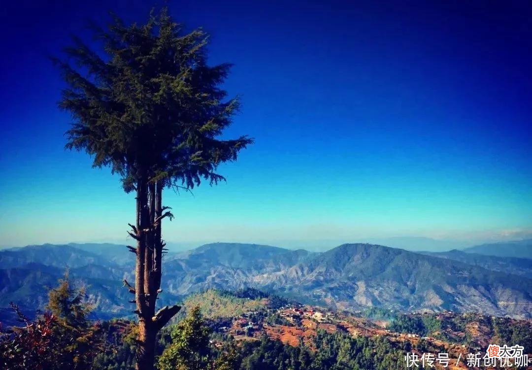 【十二星座】2022下半年，桃花运旺，感情进展顺利，幸福恩爱，不离不弃的生肖