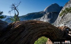 【星座控】7-9月，喜鹊欢叫，好运天降，惊喜好运纷至沓来，富贵翻身的生肖
