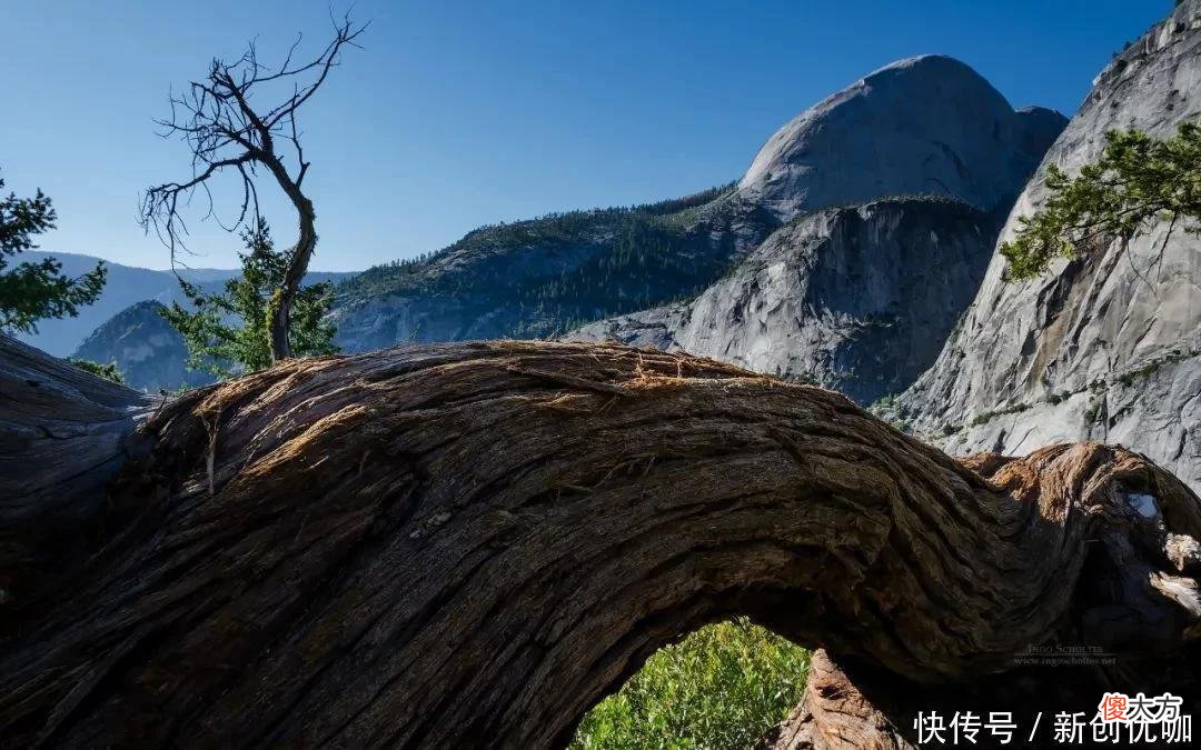 【星座控】7-9月，喜鹊欢叫，好运天降，惊喜好运纷至沓来，富贵翻身的生肖