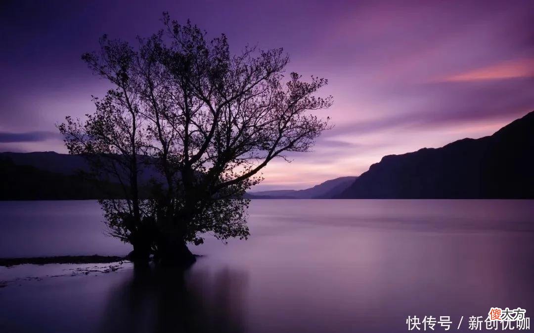【星座控】7-9月，喜鹊欢叫，好运天降，惊喜好运纷至沓来，富贵翻身的生肖