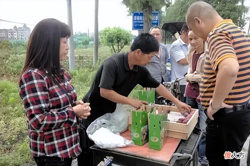 化肥价格又涨了 化肥一直涨价