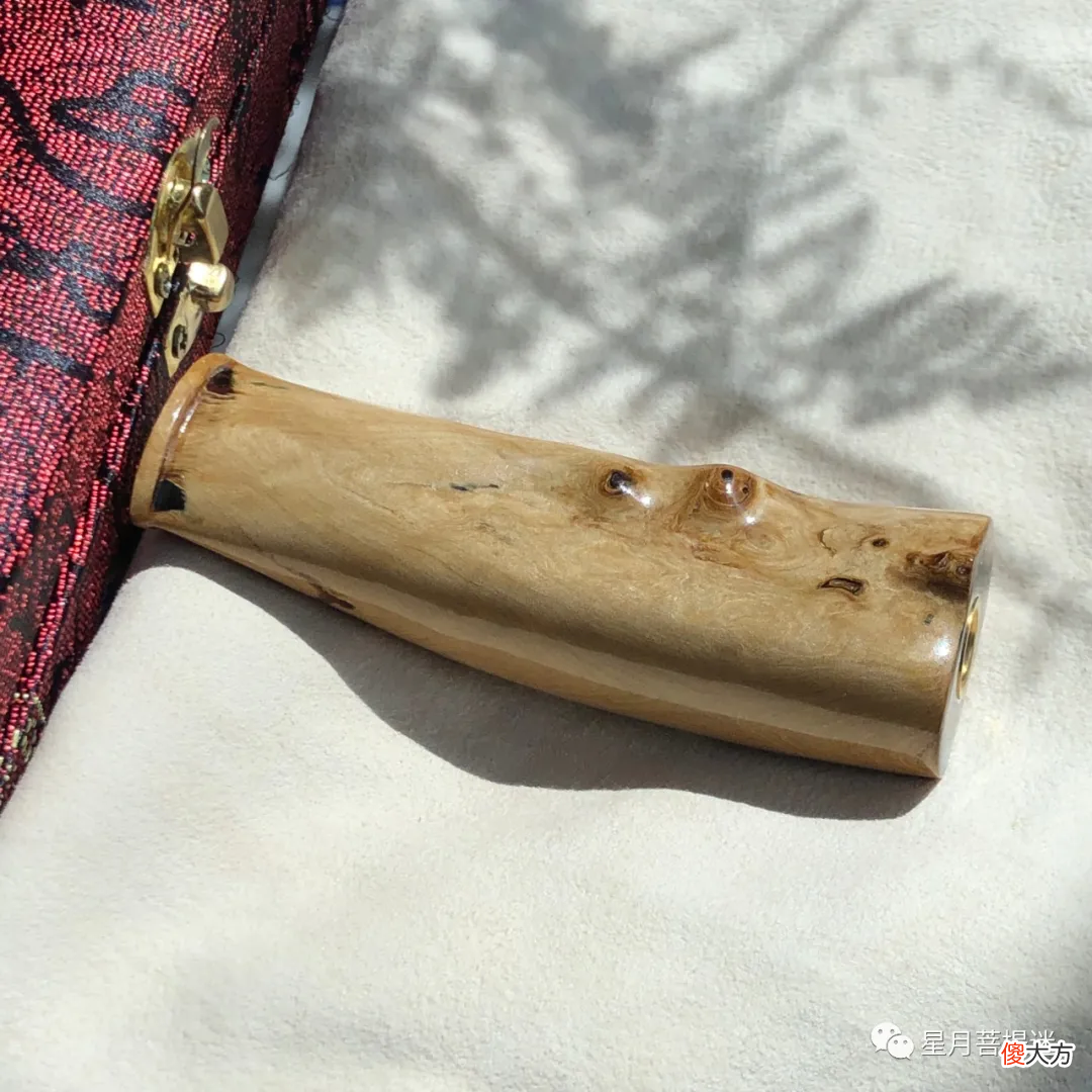 为什么海柳的选择原生态比成型的更具有魅力？