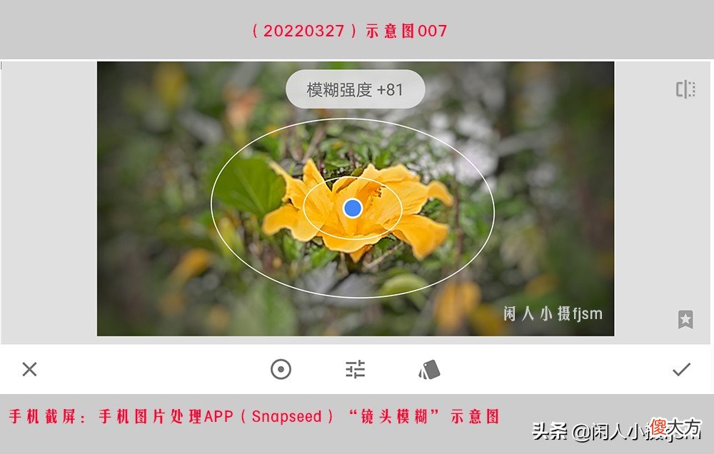 手机花卉摄影 手机花卉摄影作品