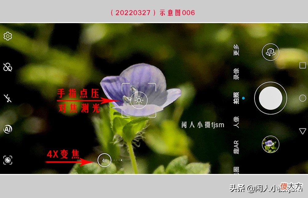手机花卉摄影 手机花卉摄影作品