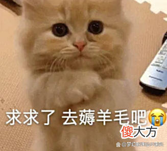 【游戏迷】福利指数高达200%《梦幻新诛仙》要做手游界的常青树？