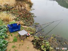 钓箱钓椅及配件的选购 钓箱钓椅到底怎么选择