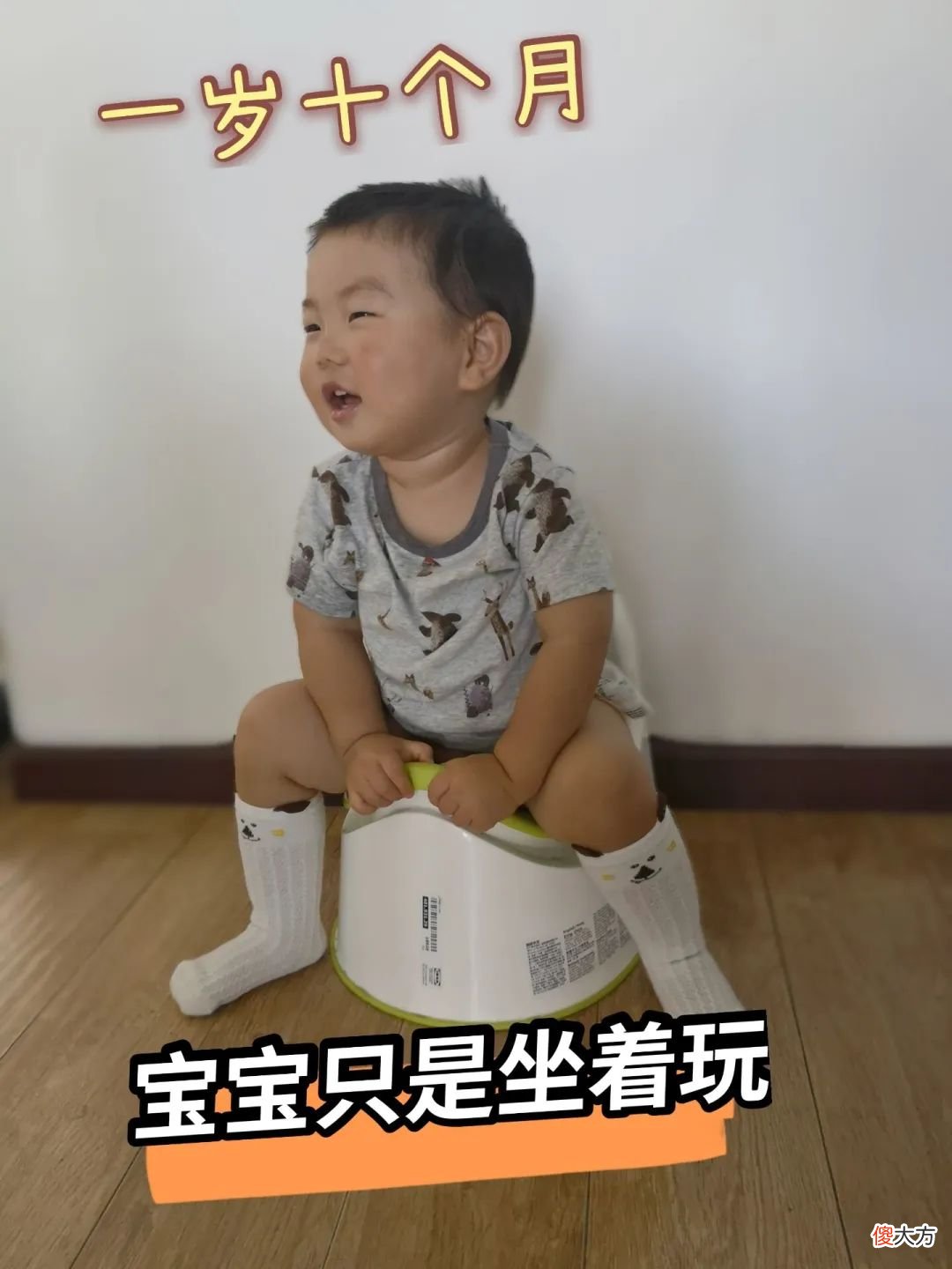 不慌不忙，如厕训练一步到位
