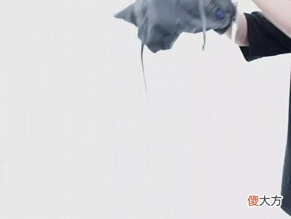 【就爱时尚】夜市｜大怨种！朋友3800买的polo衫，我79买了一模一样的