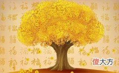 详解八字中的偏财