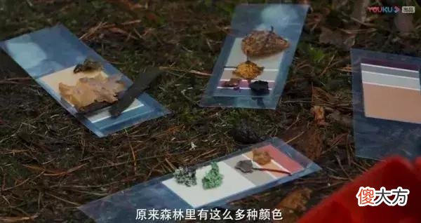 带你走进极致教育的芬兰 芬兰的教育文化