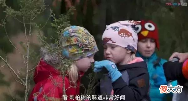 带你走进极致教育的芬兰 芬兰的教育文化