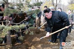 12号是植树节 12号是植树节吗